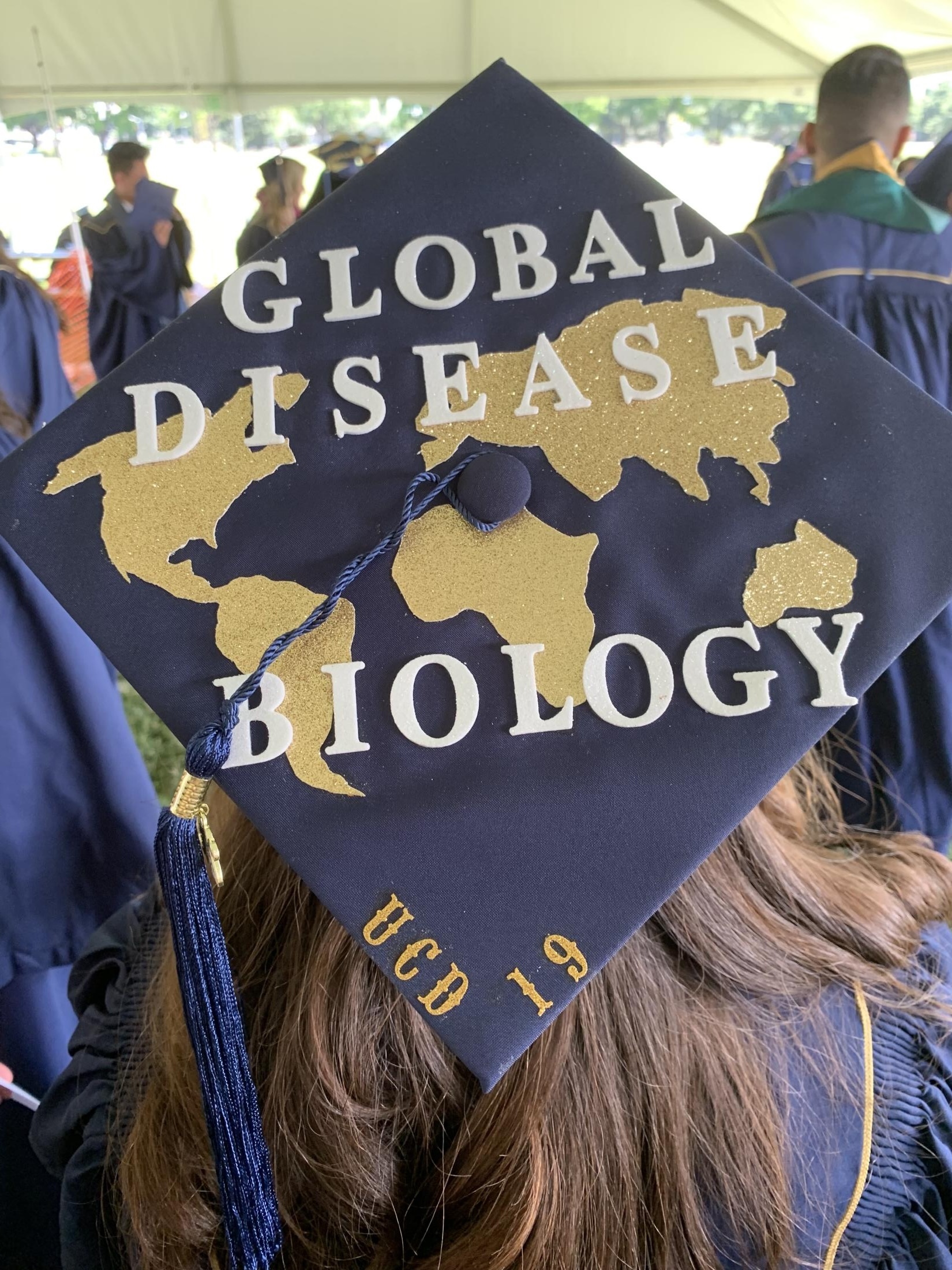 person wearing a graduation cap depicting a world map with the words 'global disease biology' written across it