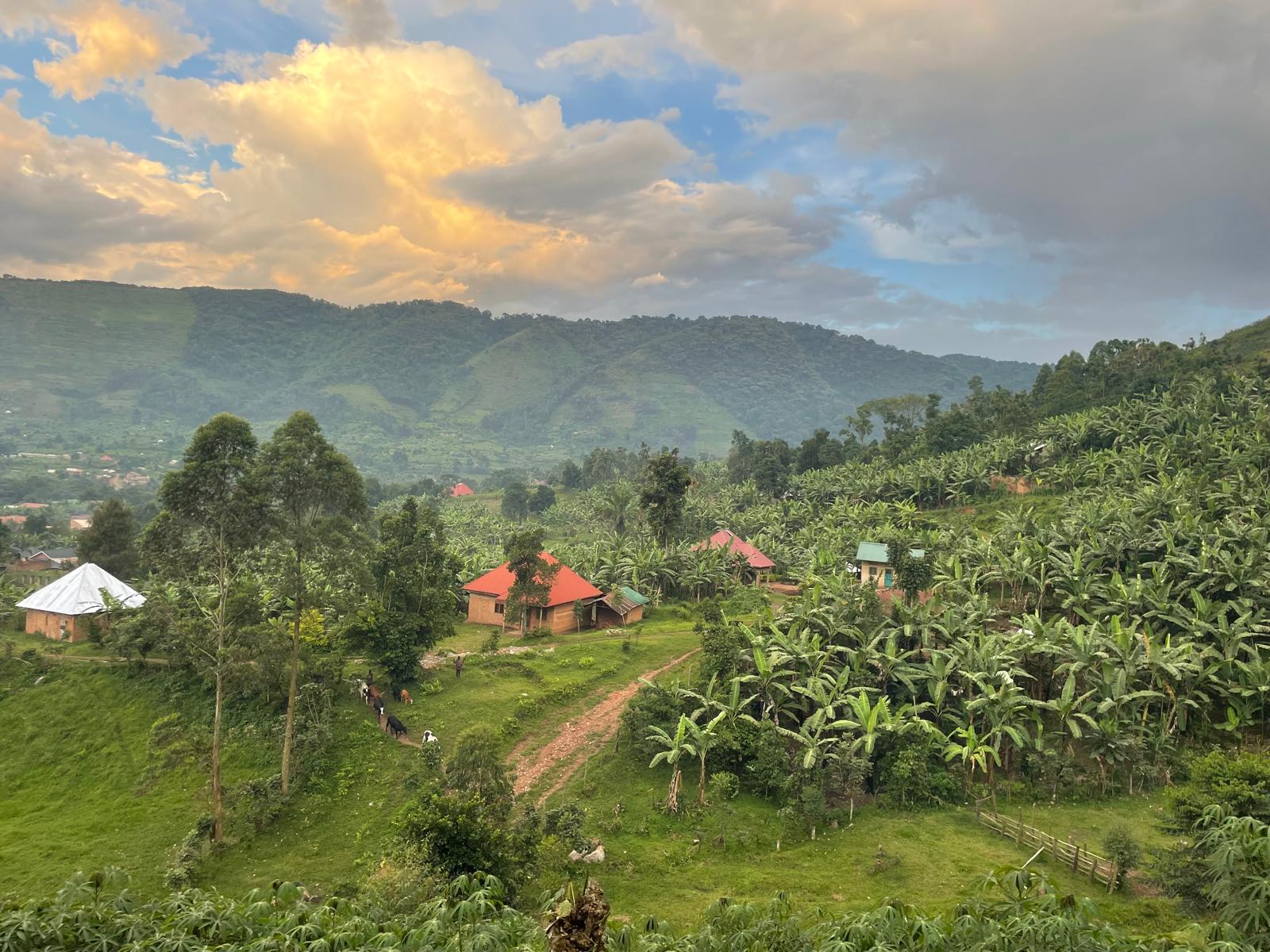 pink sky and lush green landscape