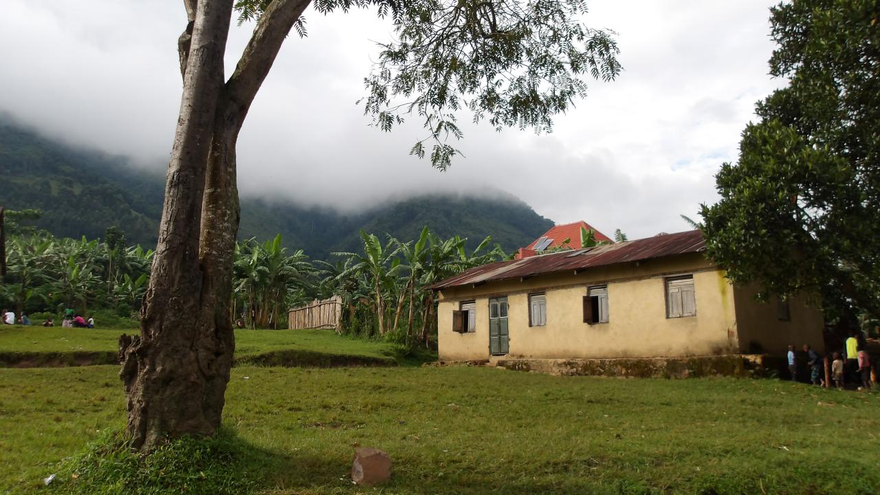 a house in a grassy landscape in bwindi