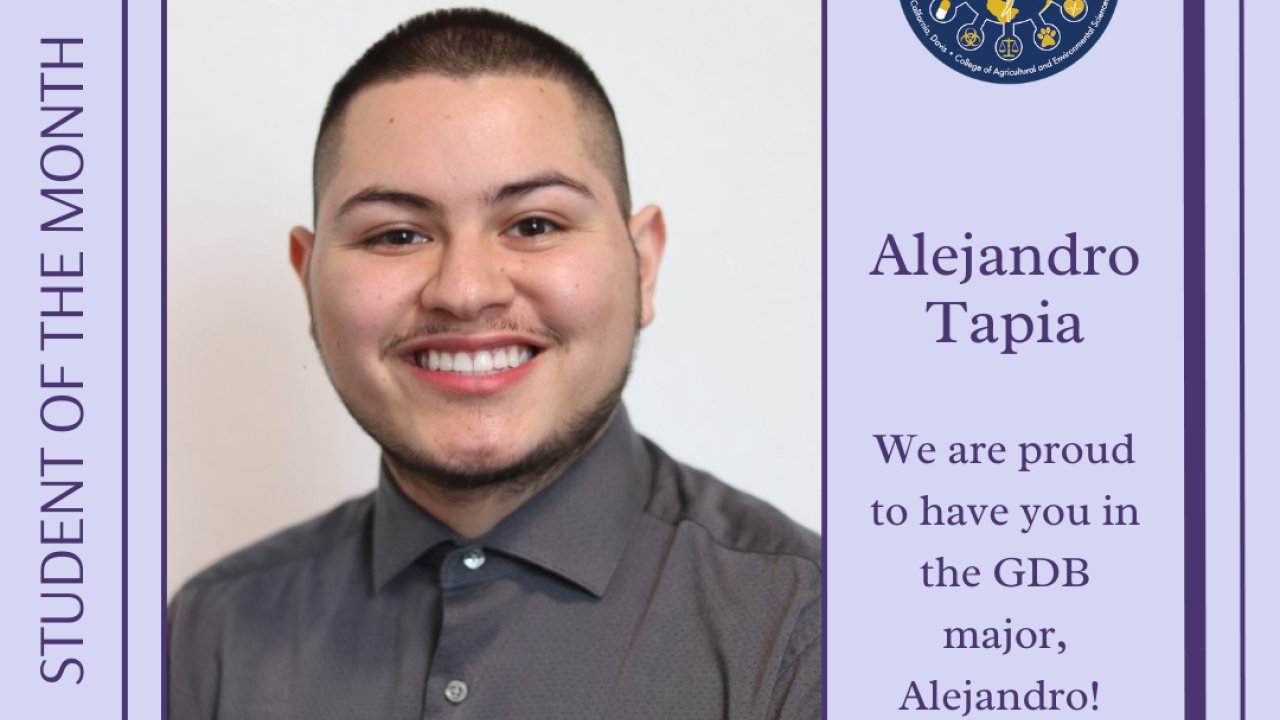 graphic featuring alejandro smiling
