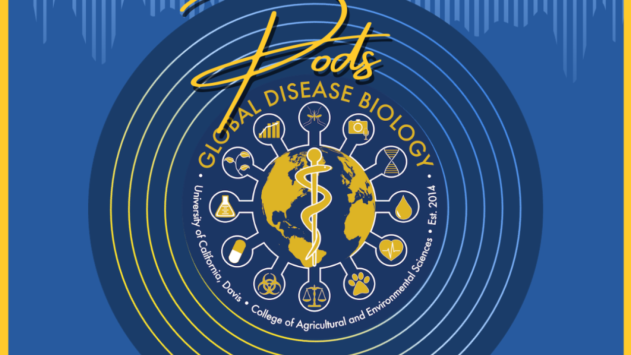 Practicum Pod logo