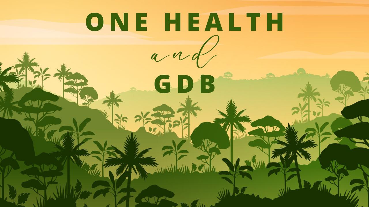 graphic saying one health and gdb over an illustration of a forest