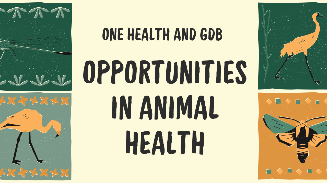Opportunities in Animal Health Banner
