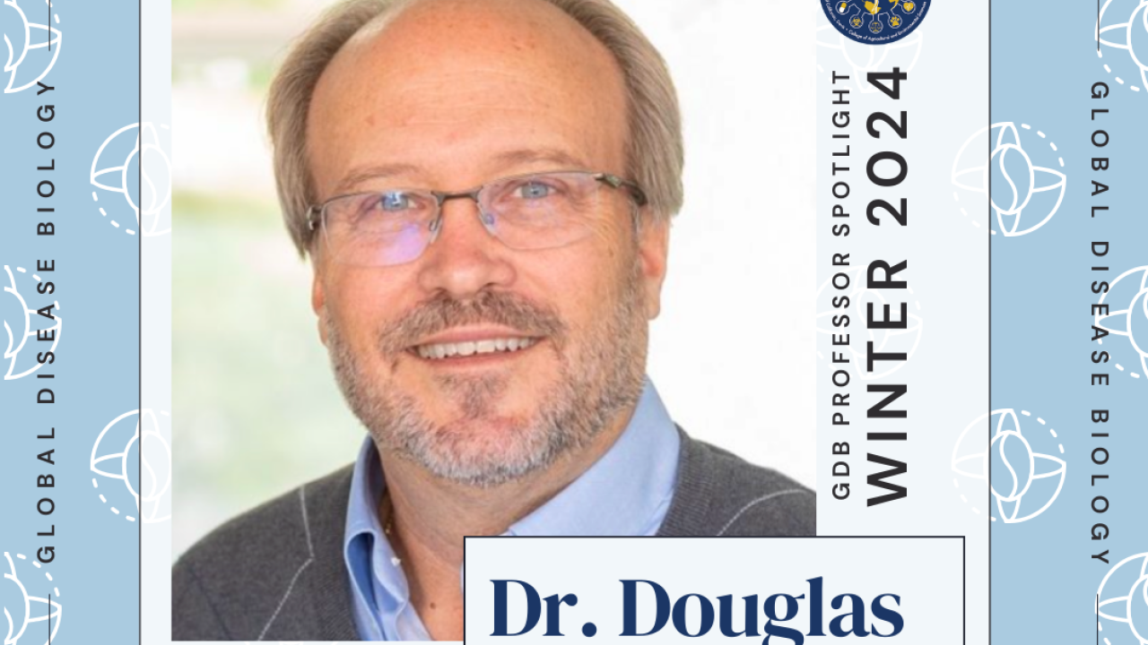 Dr. Douglas Cook Alumni Spotlight Graphic