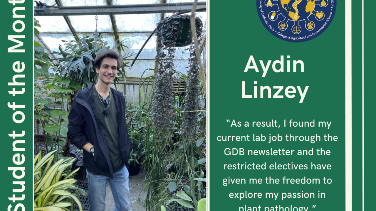 Aydin Linzey