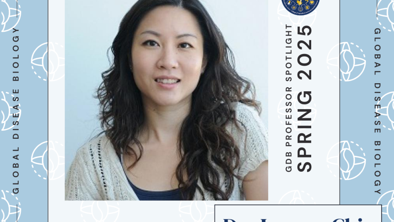 Joanna Chiu