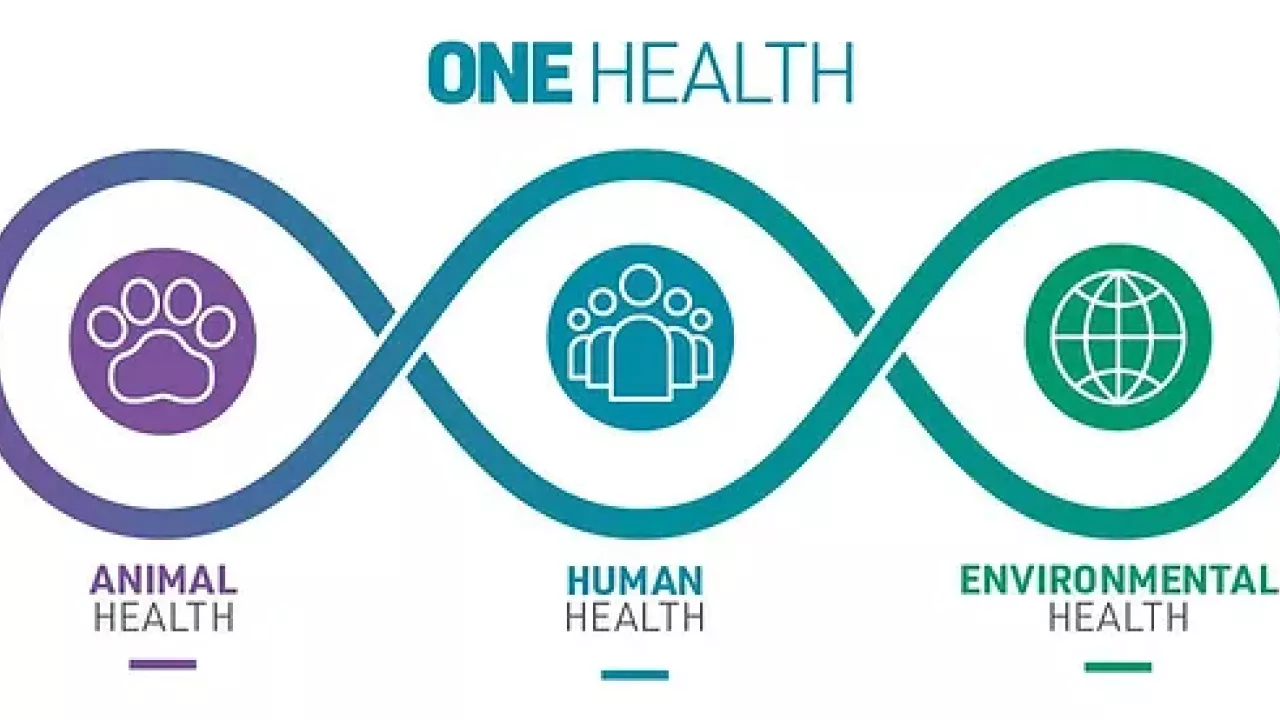 One Health