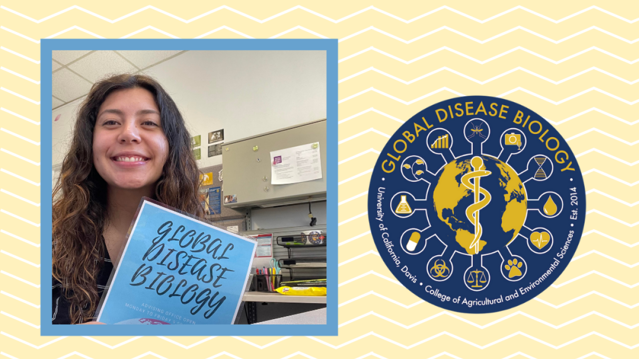 graphic featuring bianca smiling with a global disease biology poster 