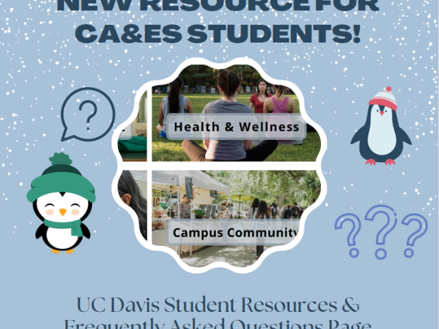 canva image highlighting new FAQ resource for CAES students