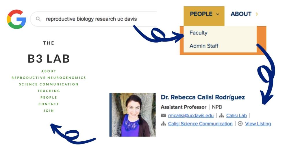 How To Find Research Global Disease Biology