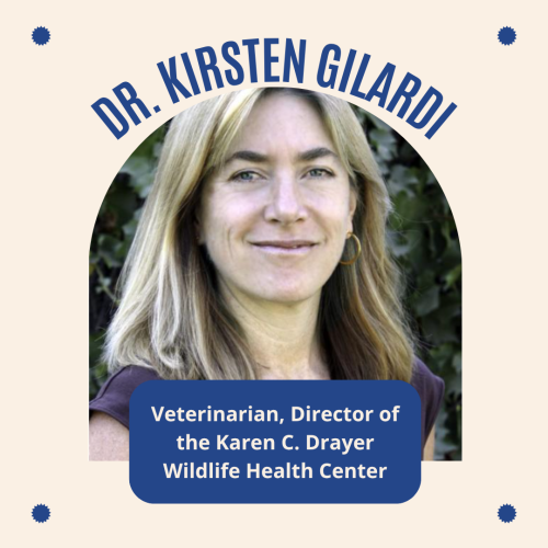Dr. Kisten Gilardi's Photograph and Job Titles