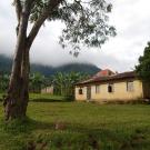 a house in a grassy landscape in bwindi