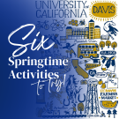 graphic featuring small drawings of uc davis symbols and with words saying 'six springtime activities to try'
