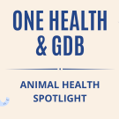 One Health and GDB: Animal Health Spotlight Banner