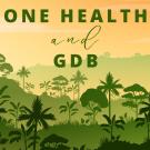 graphic saying one health and gdb over an illustration of a forest